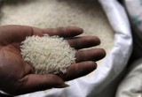 Bộ Y tế đang xác minh thông tin “gạo nhựa có mặt tại VN”