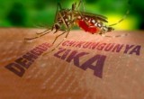 Văcxin Zika bắt đầu được thử nghiệm trên người